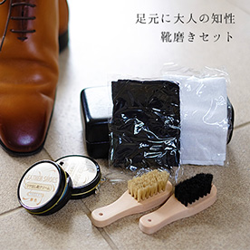 足元に大人の知性くつみがきセット（ハードケース入）