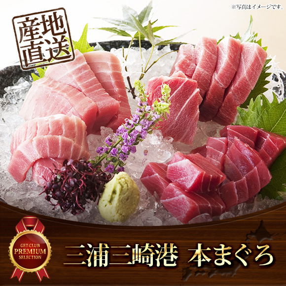 三浦三崎港 本まぐろ【目録引換券】