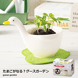 たまごがなる？グースガーデン