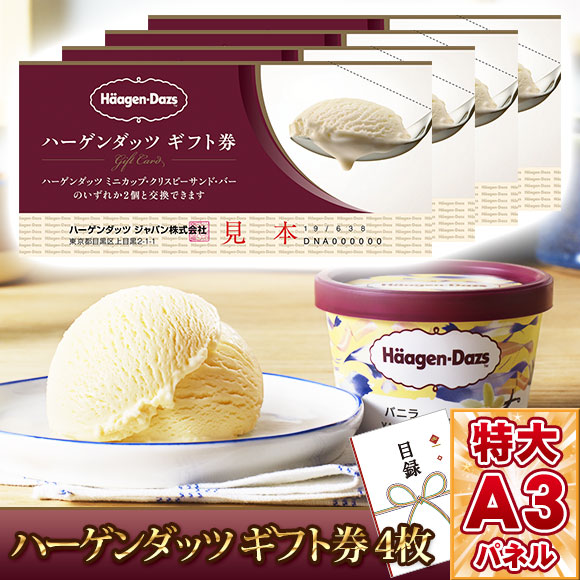 ハーゲンダッツギフト券4枚入【A3パネル付き】