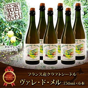 フランス産クラフトシードル中辛口ヴァレ緑色ボトル750ｍｌ　6本セット【目録引換券】