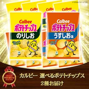 カルビー 選べるポテトチップス 2種お届...