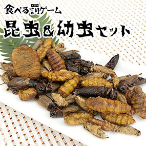 罰ゲーム食べる昆虫　昆虫＆幼虫セット(ミックスバグズ)