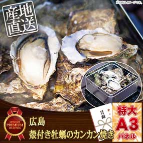 広島 殻付き牡蠣のカンカン焼き【目録引換券・A3パネル付き】