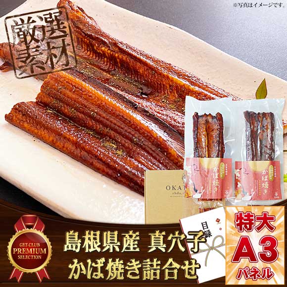 島根県産 真穴子かば焼き詰合せ【目録引...