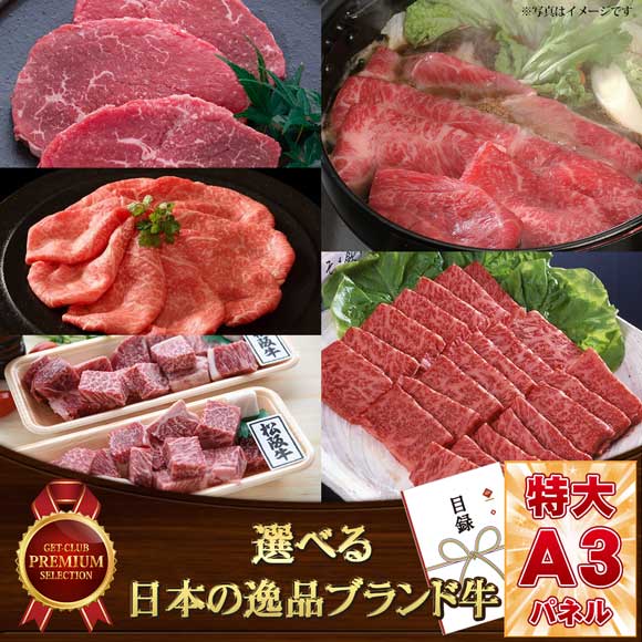 選べる 日本の逸品ブランド牛 [宮崎・神...