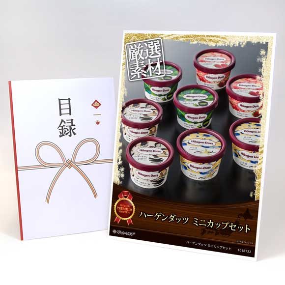 ハーゲンダッツ ミニカップセット【目録引換券・A3パネル付き】