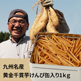 九州名産 芋けんぴ缶入り 1kg