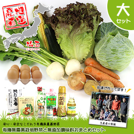 有機無農薬栽培野菜と無添加調味料おまとめセット【目録引換券】