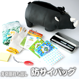 防サイバッグ（防災・緊急避難セット）