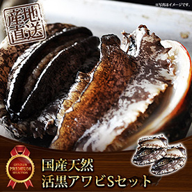 国産　天然活黒アワビ　Ｓセット【目録引換券】
