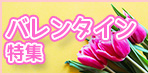 バレンタイン特集