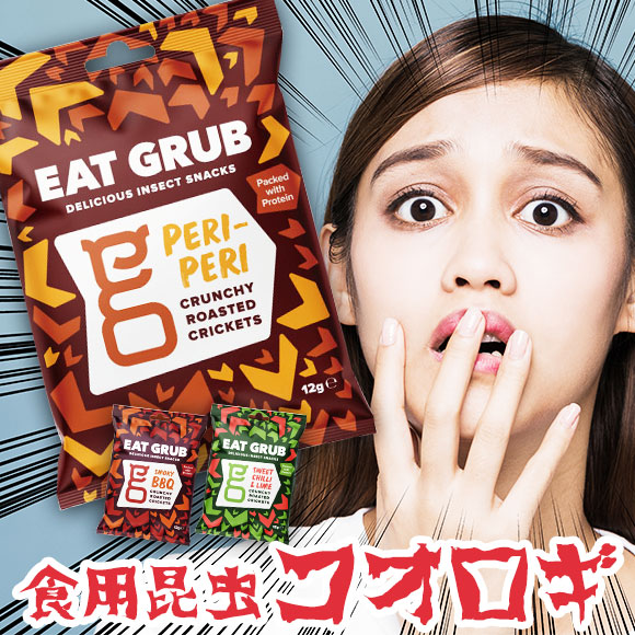 食用昆虫 コオロギ