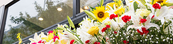 周年記念|販促キャンペーン