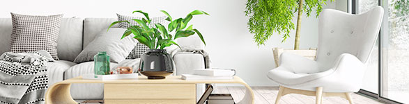 新築・引越|記念日・イベント