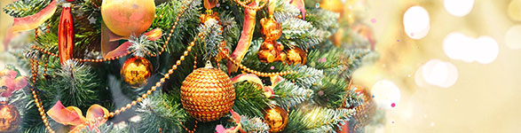 クリスマス｜記念日・イベント