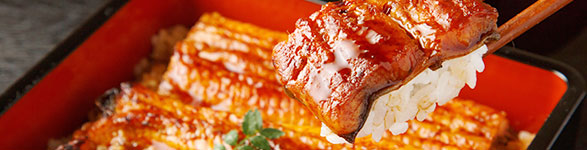 うなぎ｜海鮮・魚介類 | 目録景品・産地直送ギフト