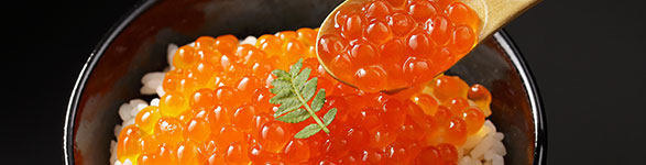 魚卵｜海鮮・魚介類 | 目録景品・産地直送ギフト