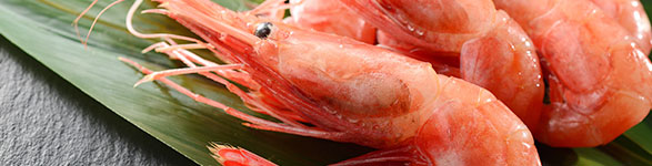 エビ|海鮮・魚介類 | 目録景品・産地直送ギフト