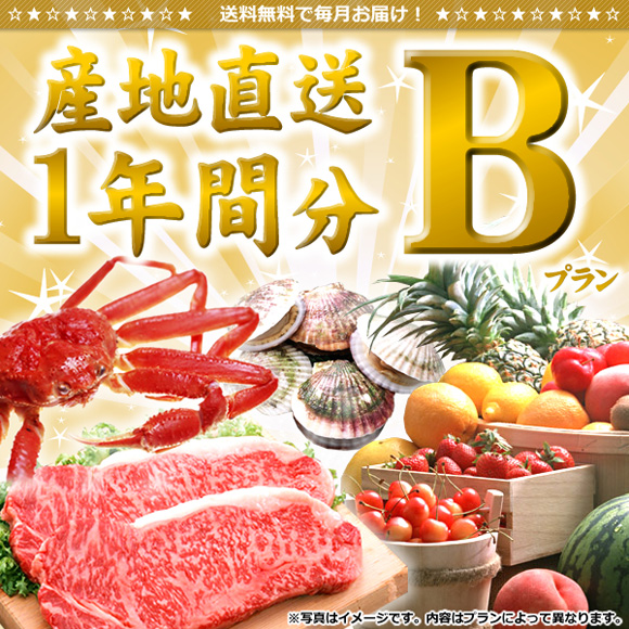 産地直送一年間分(プランB)【目録引...