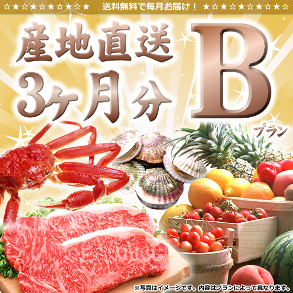 産地直送3ヶ月間分(プランB)【目録引...