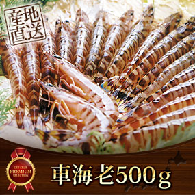 車海老500ｇ【目録引換券】