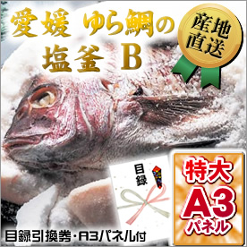 愛媛　ゆら鯛の「塩釜」B【目録引換券・A3パネル付き】