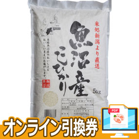 魚沼産こしひかり5kg【オンライン引換券】｜米・食材・惣菜