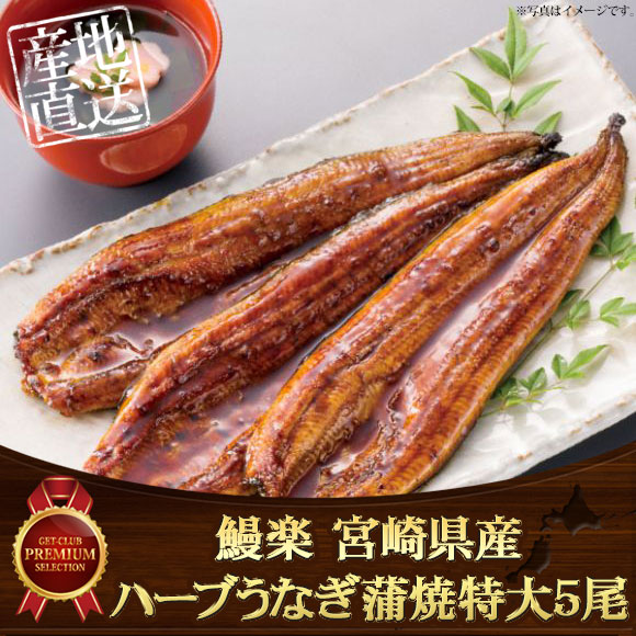 鰻楽 宮崎県産ハーブうなぎ蒲焼特大5尾【目録引換券】