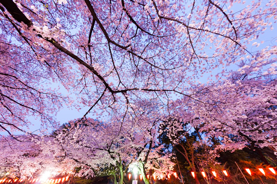 imasia_13614330_M_01