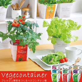 フレッシュ野菜をつくるベジコンテナ１個