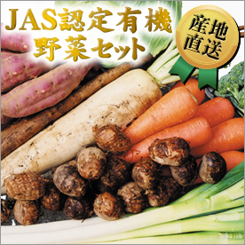 JAS認定有機野菜セット