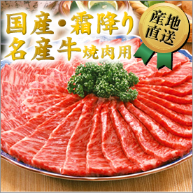 国産・霜降り名産牛（焼肉用）