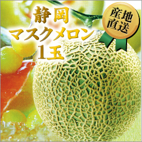 静岡マスクメロン１玉