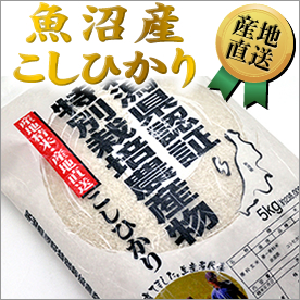 魚沼産こしひかり