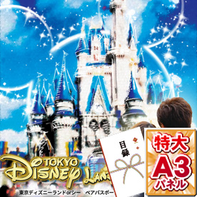 東京ディズニーランドorシー ペアパスポートチケット【特大A3パネル付き】