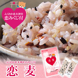 ふくおか恋木神社おみくじ付　恋麦60ｇ